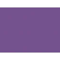 Pacon Tru-Ray Construction Paper, 18-Inches by 24-Inches, 50-Count, Purple (103083)