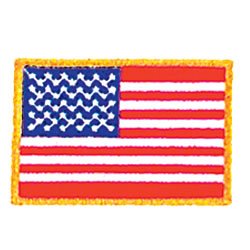 Tiger Claw Patch - American Flag