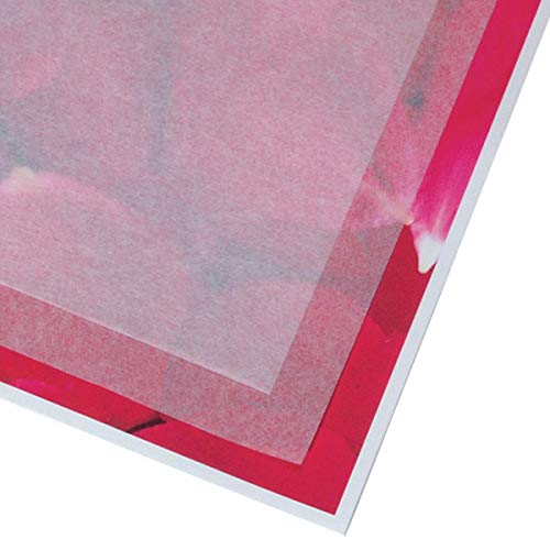 Adorama Lineco Unbuffered Interleaving Acid-Free Tissue Paper, 8.5 X 11 inches, Translucent, 100 Sheets (741-0911),White