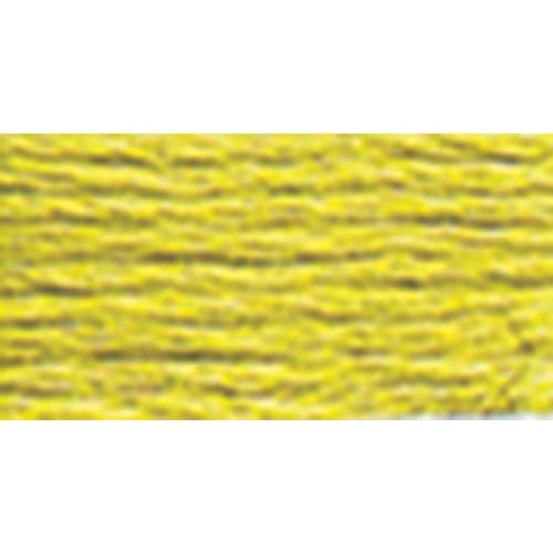 DMC 117-3819 Mouline Stranded Cotton Six Strand Embroidery Floss Thread, Light Moss Green, 8.7-Yard