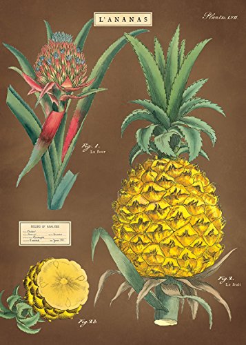 Cavallini Decorative Wrap Poster Pineapple, 20 x 28 inch Italian Archival Paper (WRAP/PINA)