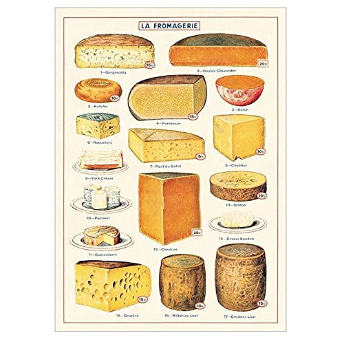 Cavallini Decorative Paper - Cheese 20"x28" Sheet