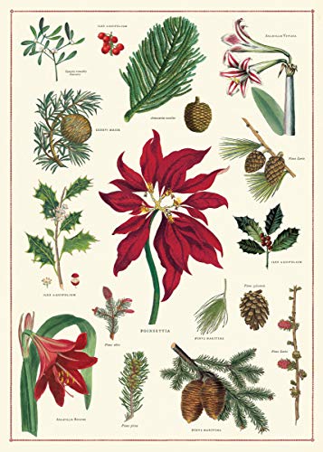 Cavallini & Co. Christmas Botanical Wrap Decorative Paper