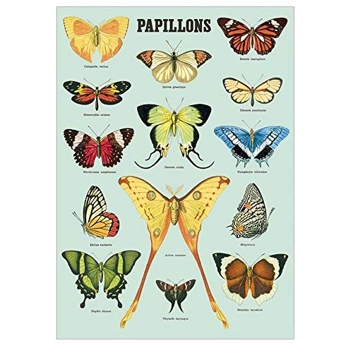 Cavallini & Co. Decorative Wrap Poster, Papillons, 20 x 28 Inch Italian Archival Paper (WRAP/BTR3)