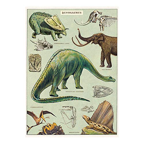 Cavallini & Co. Decorative Wrap Poster, Dinosaurs, 20 x 28 inch Italian Archival Paper (WRAP/DINO)