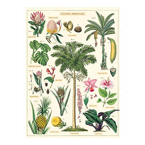 Cavallini Decorative Paper - Tropical Plants 20"x28" Sheet