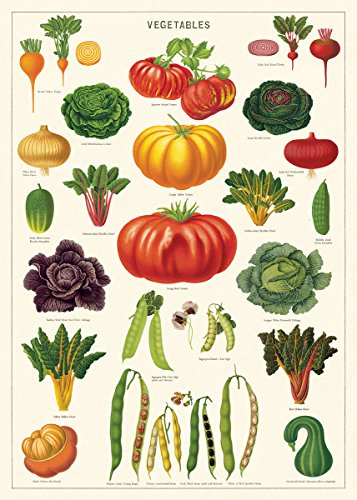 Cavallini Decorative Paper - Vegetable Garden 20"x28" Sheet