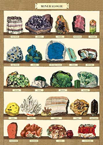 Cavallini & Co. Decorative Wrap Poster, Mineralogie 2, 20 x 28 inch Italian Archival Paper (WRAP/MIN2)…