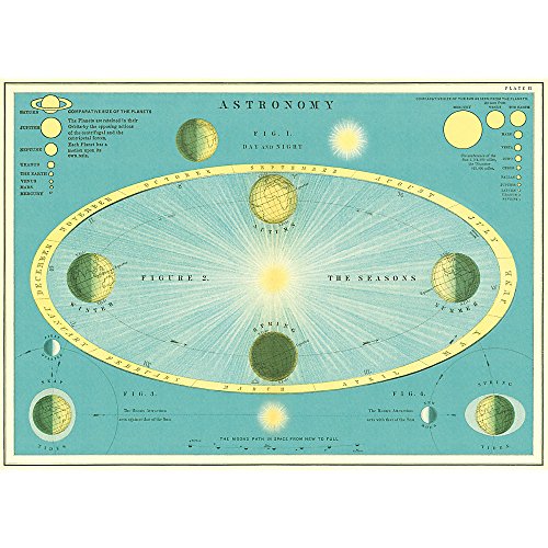 Cavallini Decorative Paper - Astronomy 20"x28" Sheet