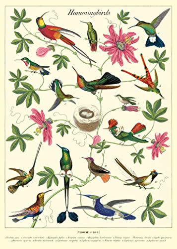 Cavallini & Co. Decorative Wrap Poster, Hummingbirds, 20 x 28 inch Italian Archival Paper (WRAP/HUM)…