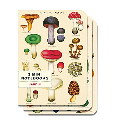 Cavallini & Co. Jardin Mini Notebooks