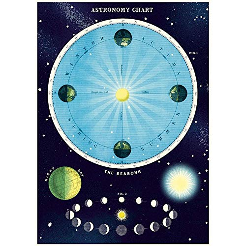 Cavallini & Co. Decorative Paper Sheet, Astronomy Chart 2, 20 x 28 inch Italian Archival Paper