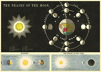 Cavallini & Co. Phases Of The Moon Chart Decorative Paper Sheet 20" x 28"