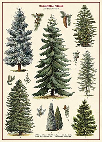 Cavallini & Co. Christmas Tree Chart Decorative Paper Sheet