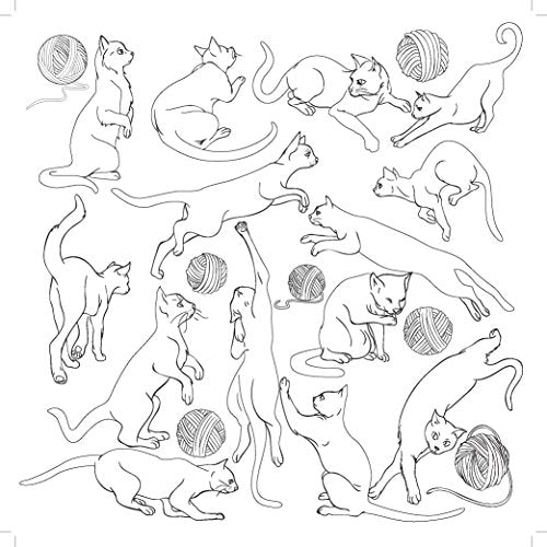 Kaisercraft Colouring Book Cats & Dogs, 25 x 25 x 0.6 cm, White