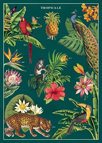 Cavallini & Co. Decorative Wrap Poster, Tropicale, 20 x 28 inch Italian Archival Paper (WRAP/ TROPICALE)…