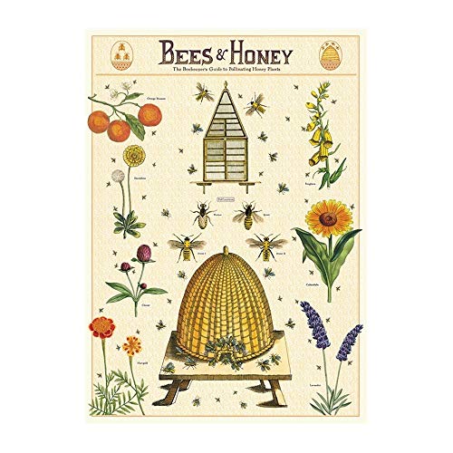 Cavallini & Co. Decorative Paper Sheet, Bees & Honey 2, 20 x 28 inch Italian Archival Paper