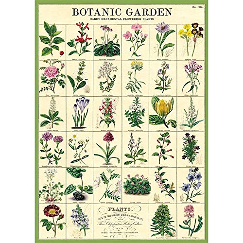 Cavallini Decorative Wrap Poster, Botanic Garden, 20 x 28 inch Italian Archival Paper (WRAP/BOTGRD)