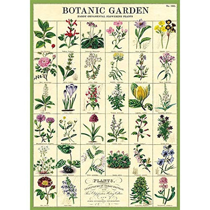 Cavallini Decorative Wrap Poster, Botanic Garden, 20 x 28 inch Italian Archival Paper (WRAP/BOTGRD)