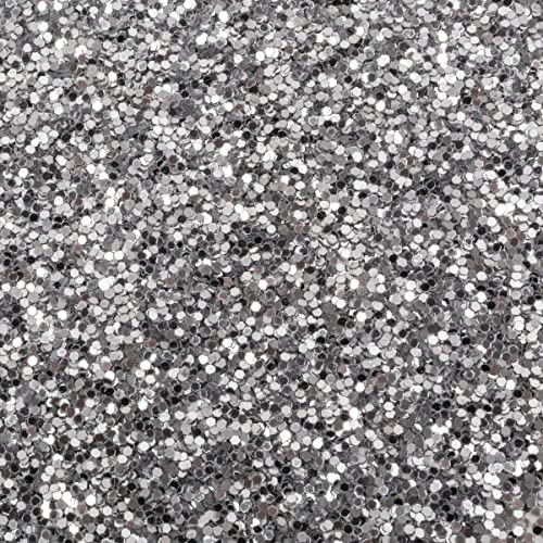 Spectra Arts & Crafts Glitter, Silver, 16 oz., 1 Jar