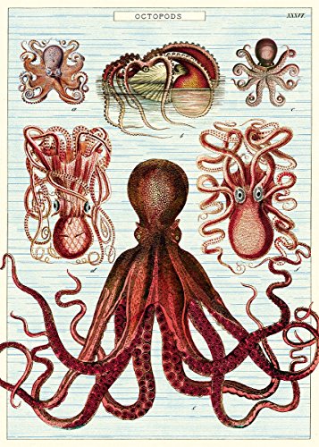 Cavallini & Co. Octopods Decorative Paper Sheet