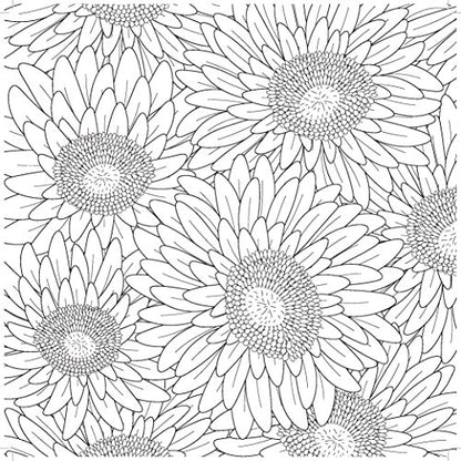 Kaisercraft KaiserColour Perfect Bound Coloring Book-Ever Bloom, 24.61x24.61x0.71 cm, Multicoloured